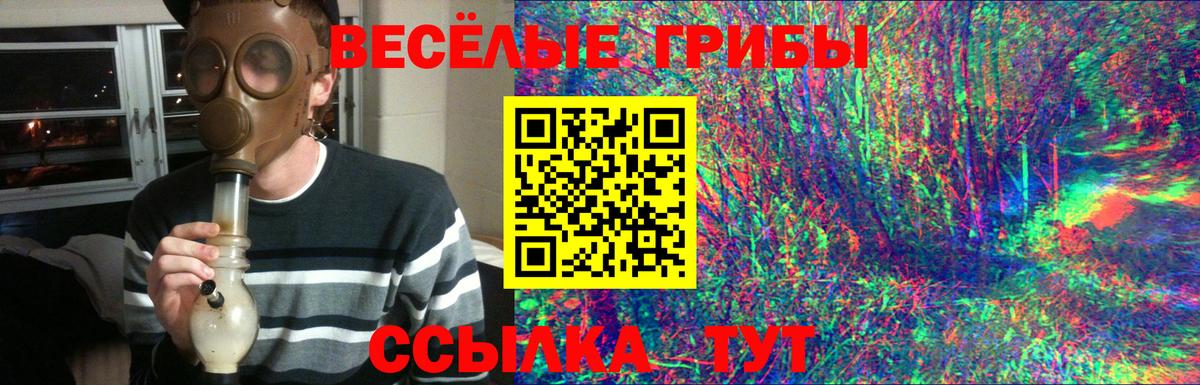 Псилоцибиновые грибы прущие грибы Анапа